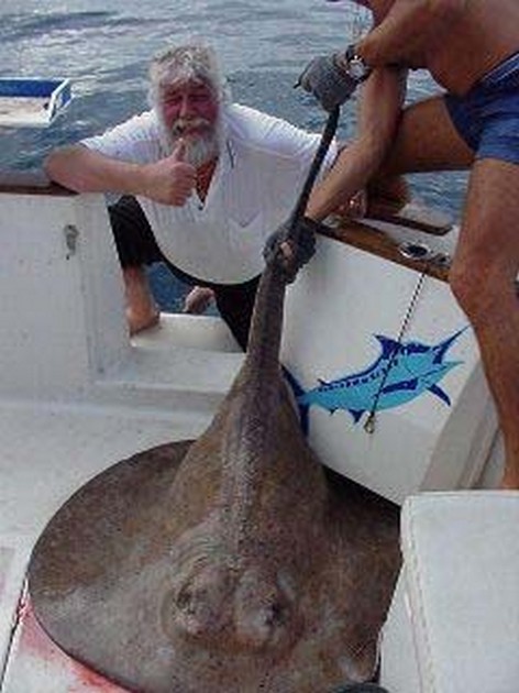 round stingray Cavalier & Blue Marlin Sport Fishing Gran Canaria