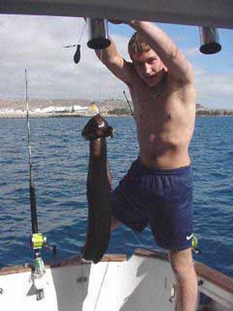 brown moray eel Cavalier & Blue Marlin Sport Fishing Gran Canaria