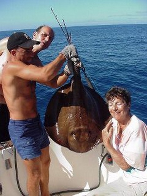 round stingray Cavalier & Blue Marlin Sport Fishing Gran Canaria