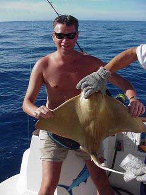 eagle ray Cavalier & Blue Marlin Sport Fishing Gran Canaria