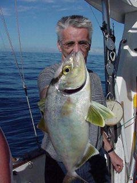 Vadigo Cavalier & Blue Marlin Sport Fishing Gran Canaria
