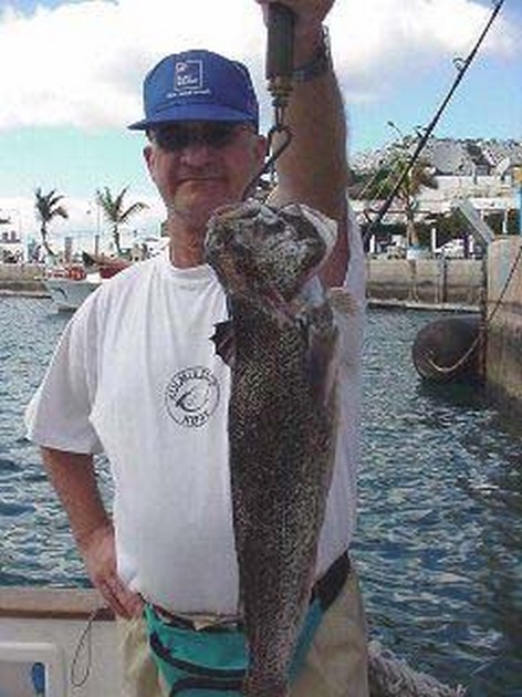 steaked weever Cavalier & Blue Marlin Sport Fishing Gran Canaria