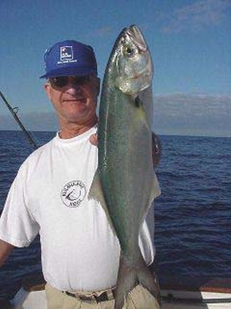 kingfish Cavalier & Blue Marlin Sport Fishing Gran Canaria