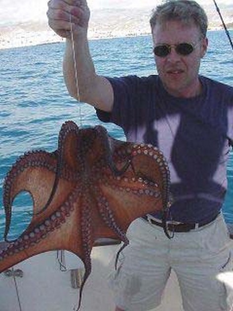 Octopus Cavalier & Blue Marlin Sport Fishing Gran Canaria