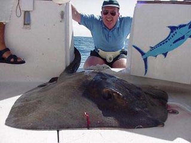 common stingray Cavalier & Blue Marlin Sport Fishing Gran Canaria