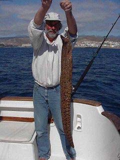 tiger moray Cavalier & Blue Marlin Sport Fishing Gran Canaria