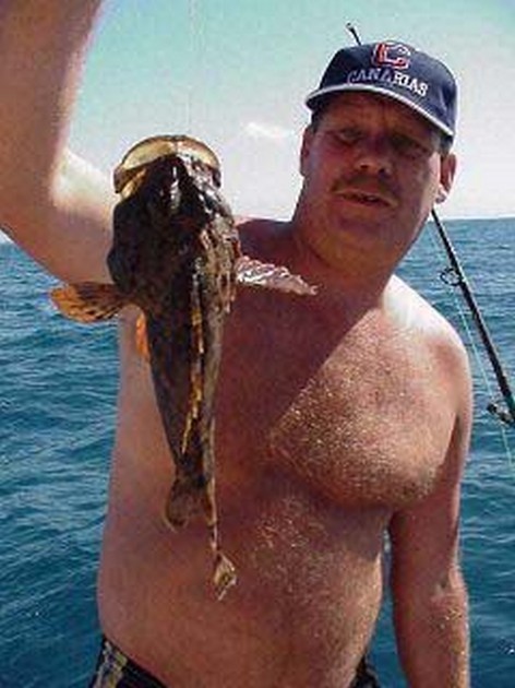 Bull Rout Cavalier & Blue Marlin Sport Fishing Gran Canaria