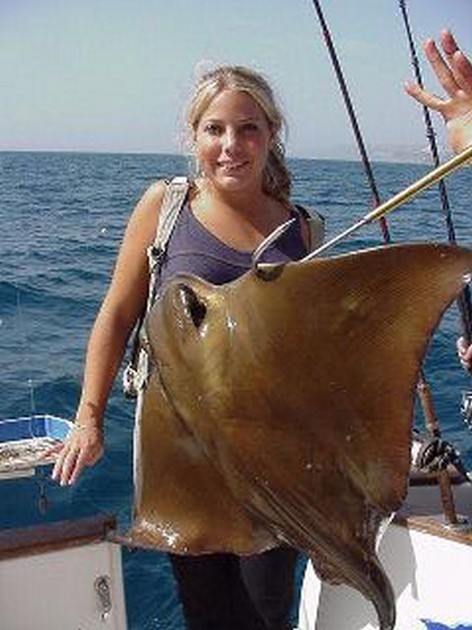 eagle ray Cavalier & Blue Marlin Sport Fishing Gran Canaria