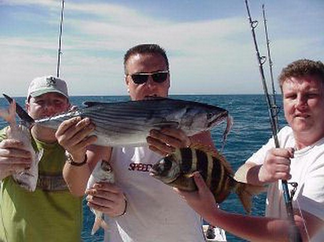 north atlantic bonito Cavalier & Blue Marlin Sport Fishing Gran Canaria