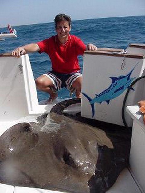 common stingray Cavalier & Blue Marlin Sport Fishing Gran Canaria