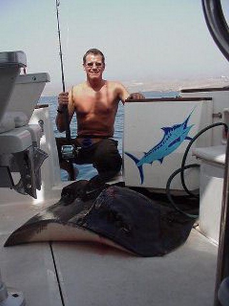 common stingray Cavalier & Blue Marlin Sport Fishing Gran Canaria