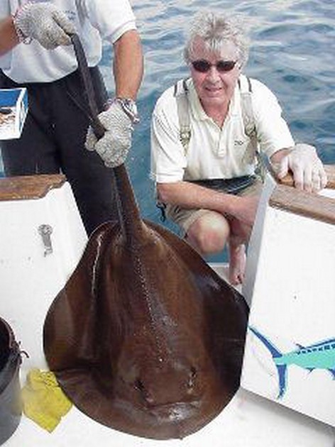 round stingray Cavalier & Blue Marlin Sport Fishing Gran Canaria