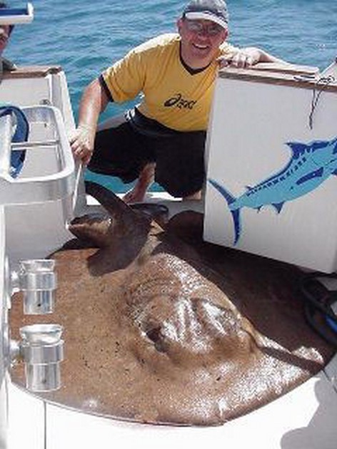 round stingray Cavalier & Blue Marlin Sport Fishing Gran Canaria