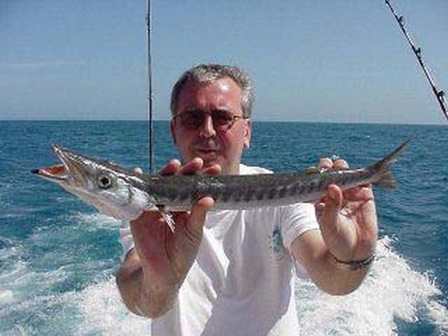 baracuda Cavalier & Blue Marlin Sport Fishing Gran Canaria