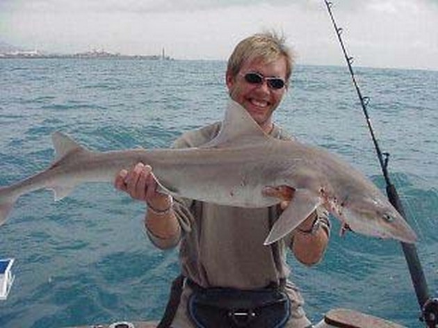 smooth hound Cavalier & Blue Marlin Sport Fishing Gran Canaria