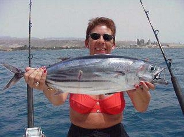 skipjack tuna Cavalier & Blue Marlin Sport Fishing Gran Canaria