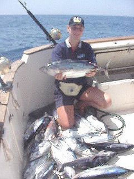 skipjack tuna Cavalier & Blue Marlin Sport Fishing Gran Canaria