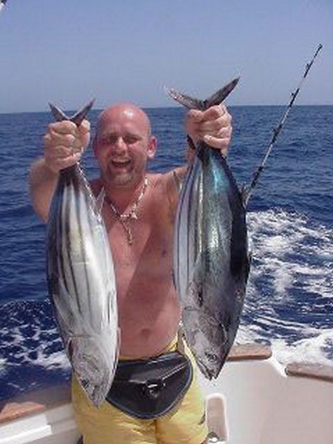 skipjack tuna Cavalier & Blue Marlin Sport Fishing Gran Canaria