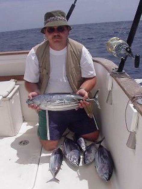 skipjack tuna Cavalier & Blue Marlin Sport Fishing Gran Canaria
