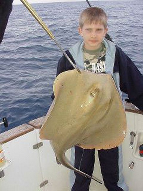 common stingray Cavalier & Blue Marlin Sport Fishing Gran Canaria