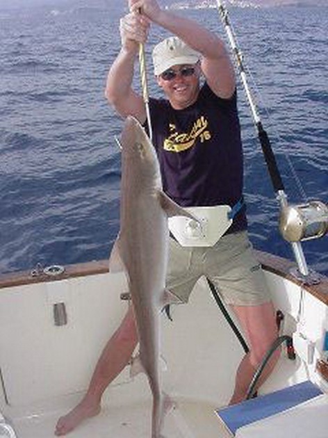 smooth hound Cavalier & Blue Marlin Sport Fishing Gran Canaria