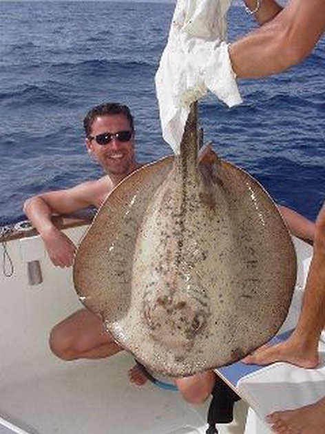 round stingray Cavalier & Blue Marlin Sport Fishing Gran Canaria