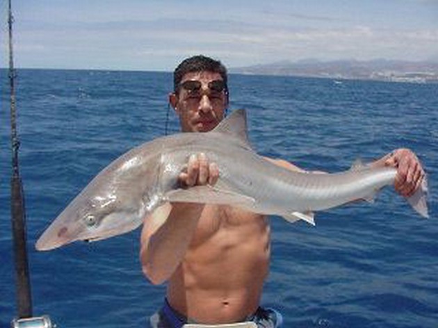 tope Cavalier & Blue Marlin Sport Fishing Gran Canaria