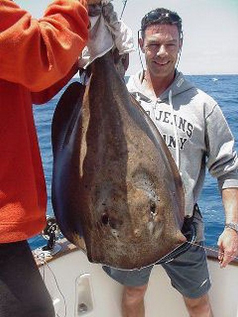 round stingray Cavalier & Blue Marlin Sport Fishing Gran Canaria