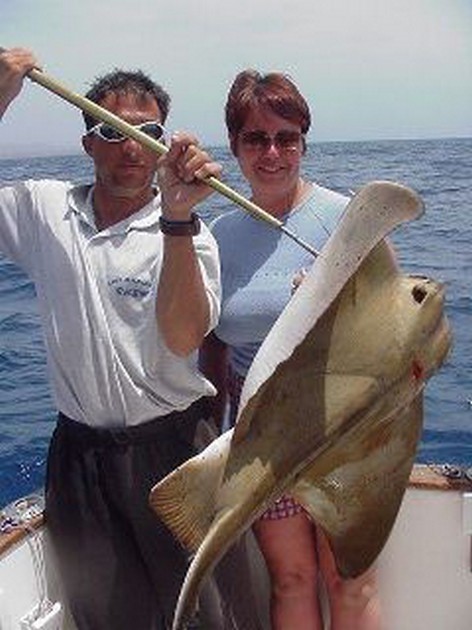 eagle ray Cavalier & Blue Marlin Sport Fishing Gran Canaria