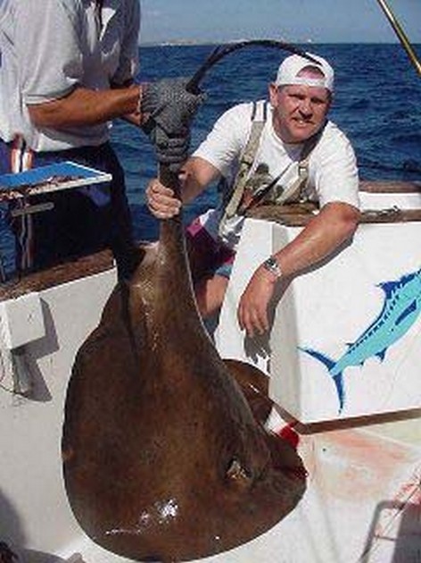 round stingray Cavalier & Blue Marlin Sport Fishing Gran Canaria