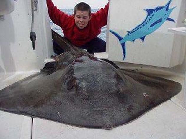 common stingray Cavalier & Blue Marlin Sport Fishing Gran Canaria