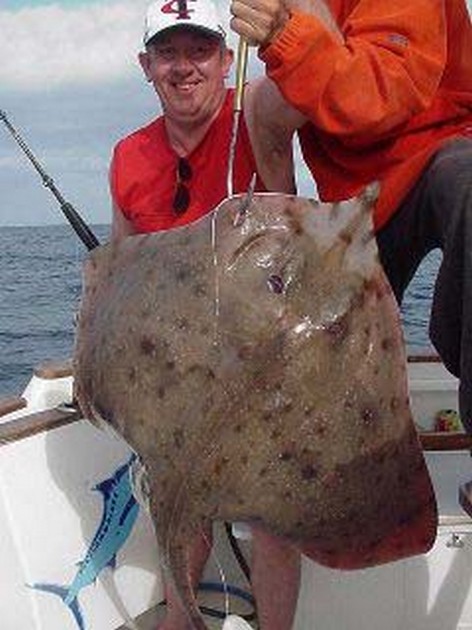 blonde ray Cavalier & Blue Marlin Sport Fishing Gran Canaria