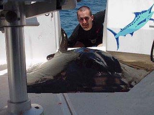 common stingray Cavalier & Blue Marlin Sport Fishing Gran Canaria