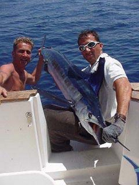 spearfish Cavalier & Blue Marlin Sport Fishing Gran Canaria