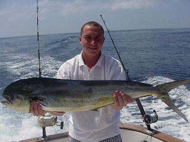 dorado Cavalier & Blue Marlin Sport Fishing Gran Canaria