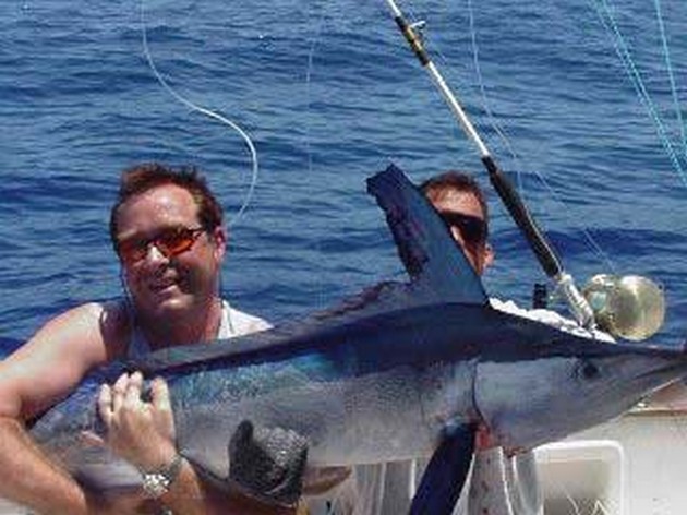 spearfish Cavalier & Blue Marlin Sport Fishing Gran Canaria