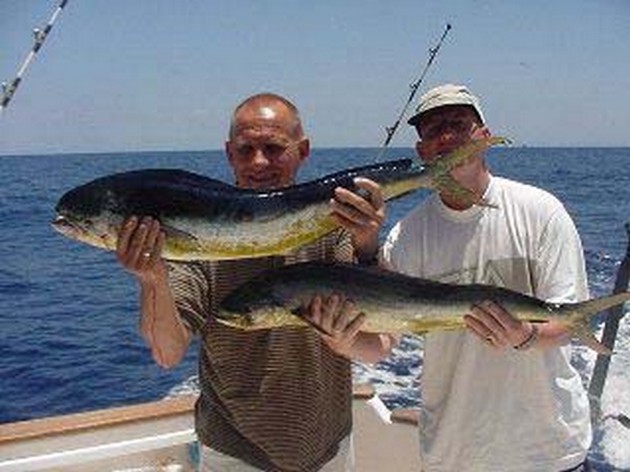 dorado Cavalier & Blue Marlin Sport Fishing Gran Canaria