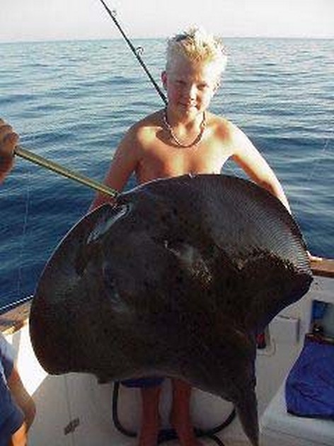 common stingray Cavalier & Blue Marlin Sport Fishing Gran Canaria