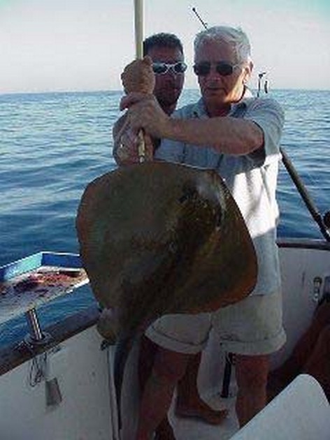 common stingray Cavalier & Blue Marlin Sport Fishing Gran Canaria