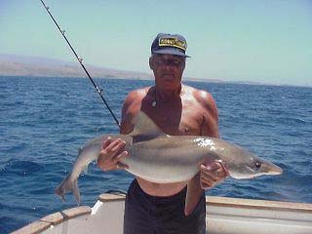tope Cavalier & Blue Marlin Sport Fishing Gran Canaria