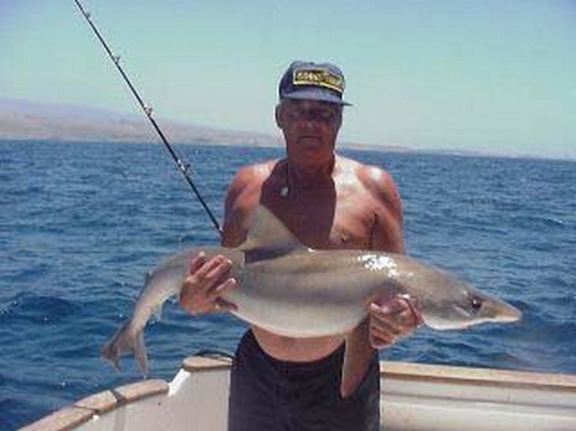 tope Cavalier & Blue Marlin Sport Fishing Gran Canaria