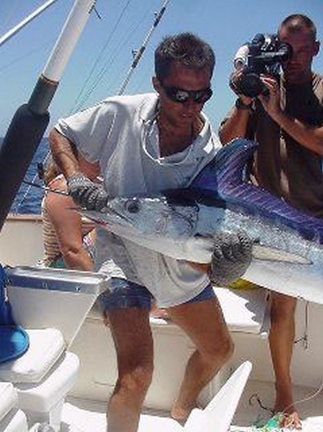 white marlin Cavalier & Blue Marlin Sport Fishing Gran Canaria