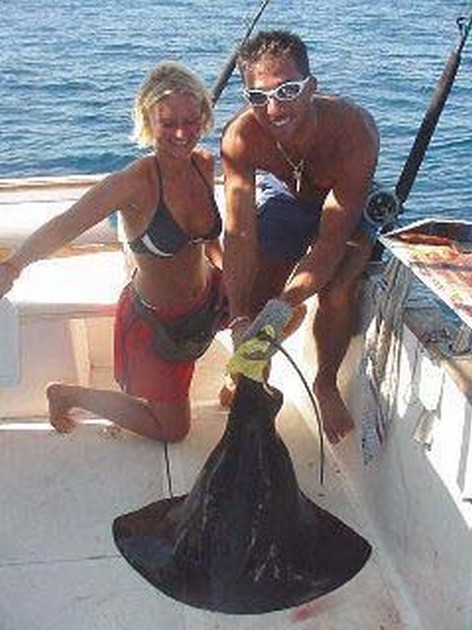 black stingray Cavalier & Blue Marlin Sport Fishing Gran Canaria