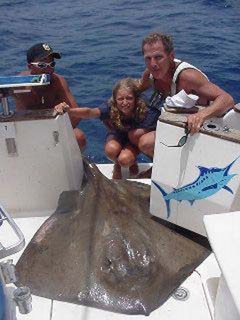 common stingray Cavalier & Blue Marlin Sport Fishing Gran Canaria