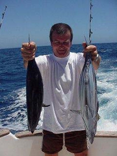 skipjack tuna Cavalier & Blue Marlin Sport Fishing Gran Canaria