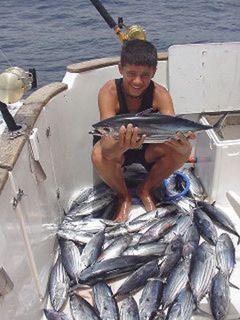 skipjack tuna Cavalier & Blue Marlin Sport Fishing Gran Canaria