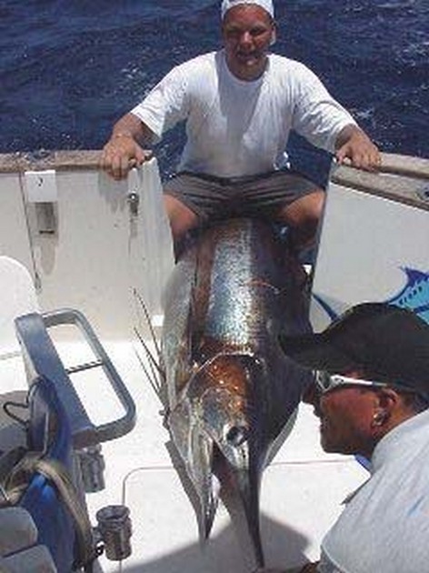 blue marlin Cavalier & Blue Marlin Sport Fishing Gran Canaria