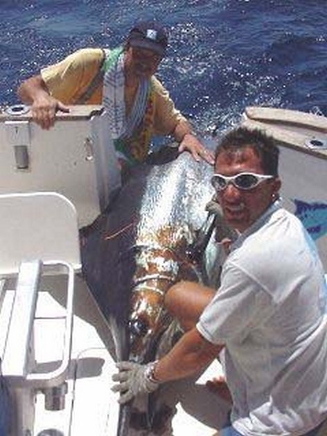 blue marlin Cavalier & Blue Marlin Sport Fishing Gran Canaria
