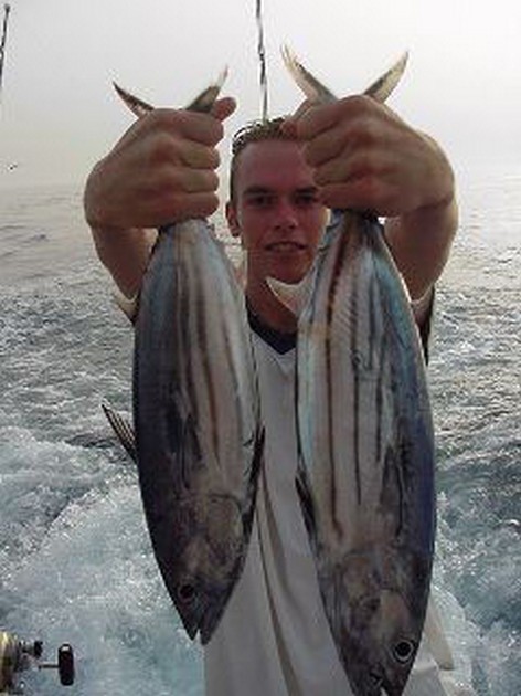 skipjack tuna Cavalier & Blue Marlin Sport Fishing Gran Canaria