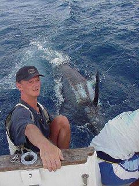 blue marlin Cavalier & Blue Marlin Sport Fishing Gran Canaria